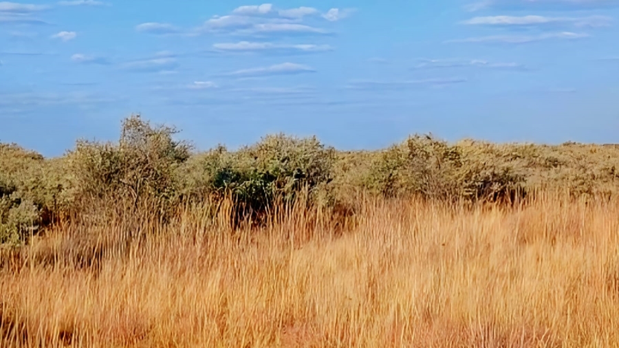 Commercial Property for Sale in Barkly West Northern Cape